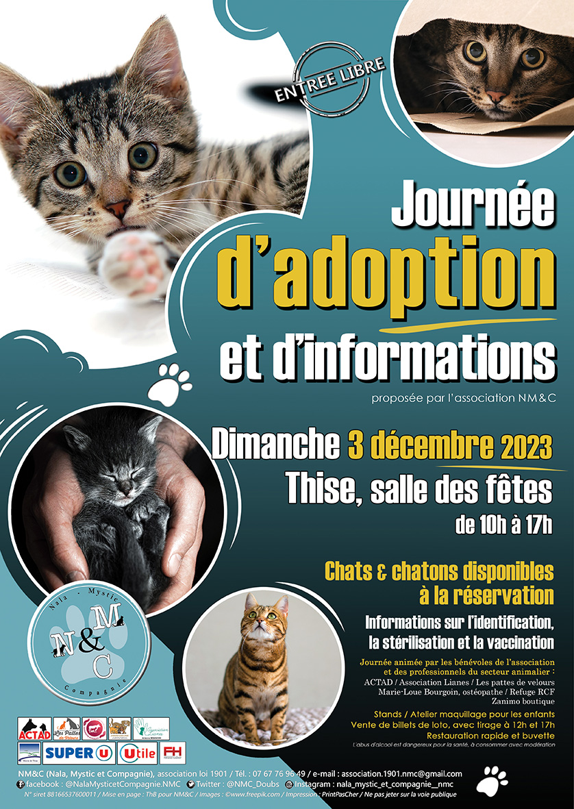 Affiche journée d'adoption 3-12-2023